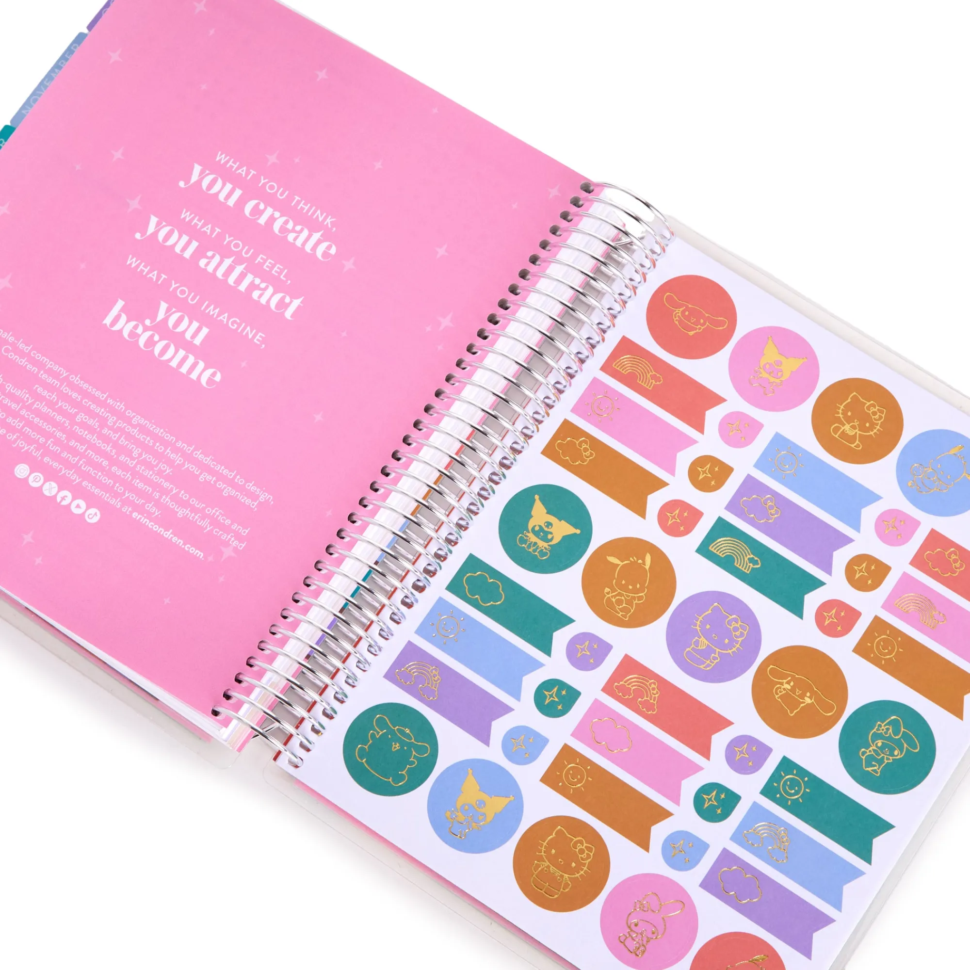 ERIN CONDREN Hello Kitty and Friends x Rainbow Relaxation 2025 LifePlanner