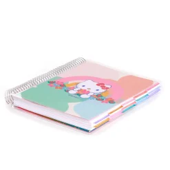 ERIN CONDREN Hello Kitty and Friends x Rainbow Relaxation 2025 LifePlanner