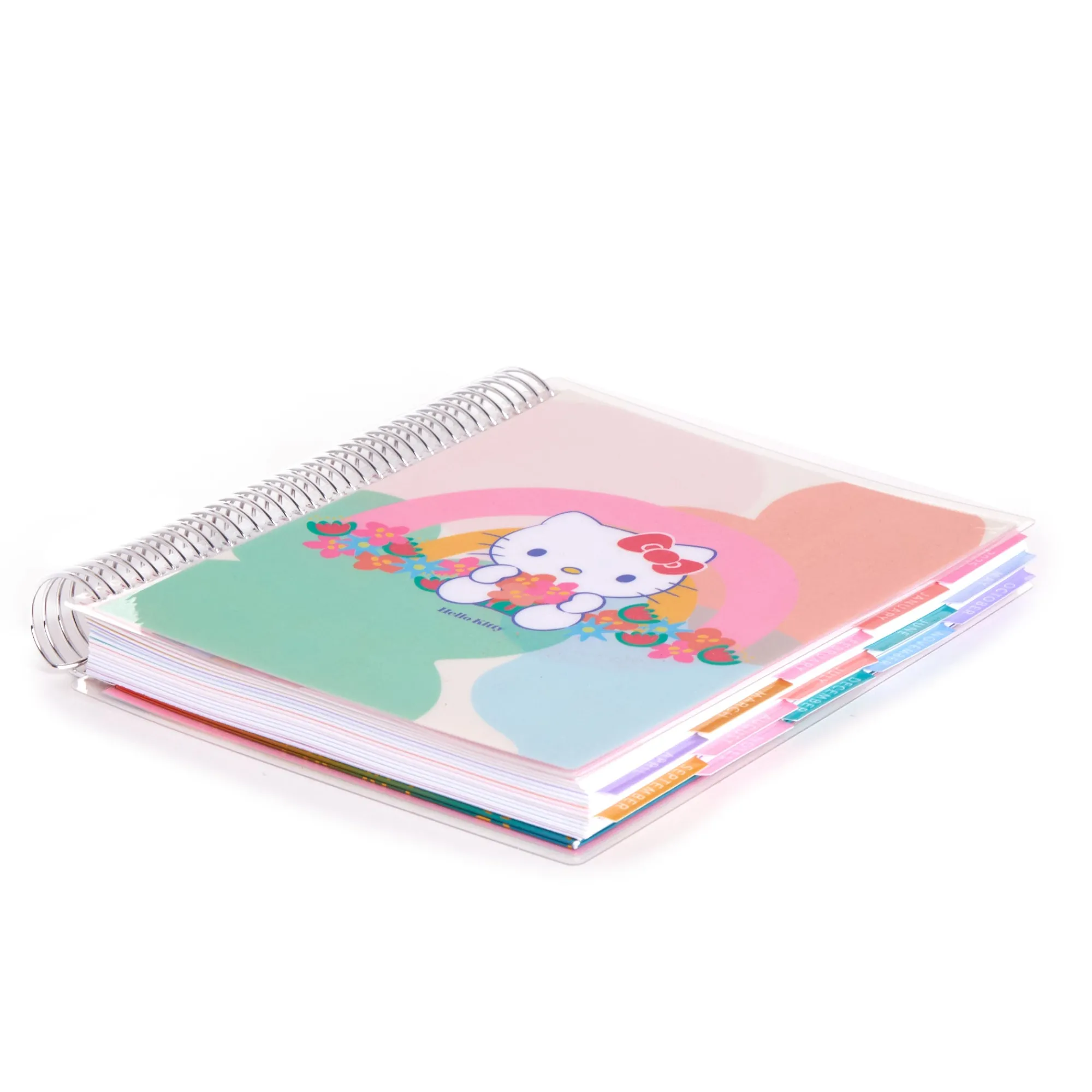 ERIN CONDREN Hello Kitty and Friends x Rainbow Relaxation 2025 LifePlanner