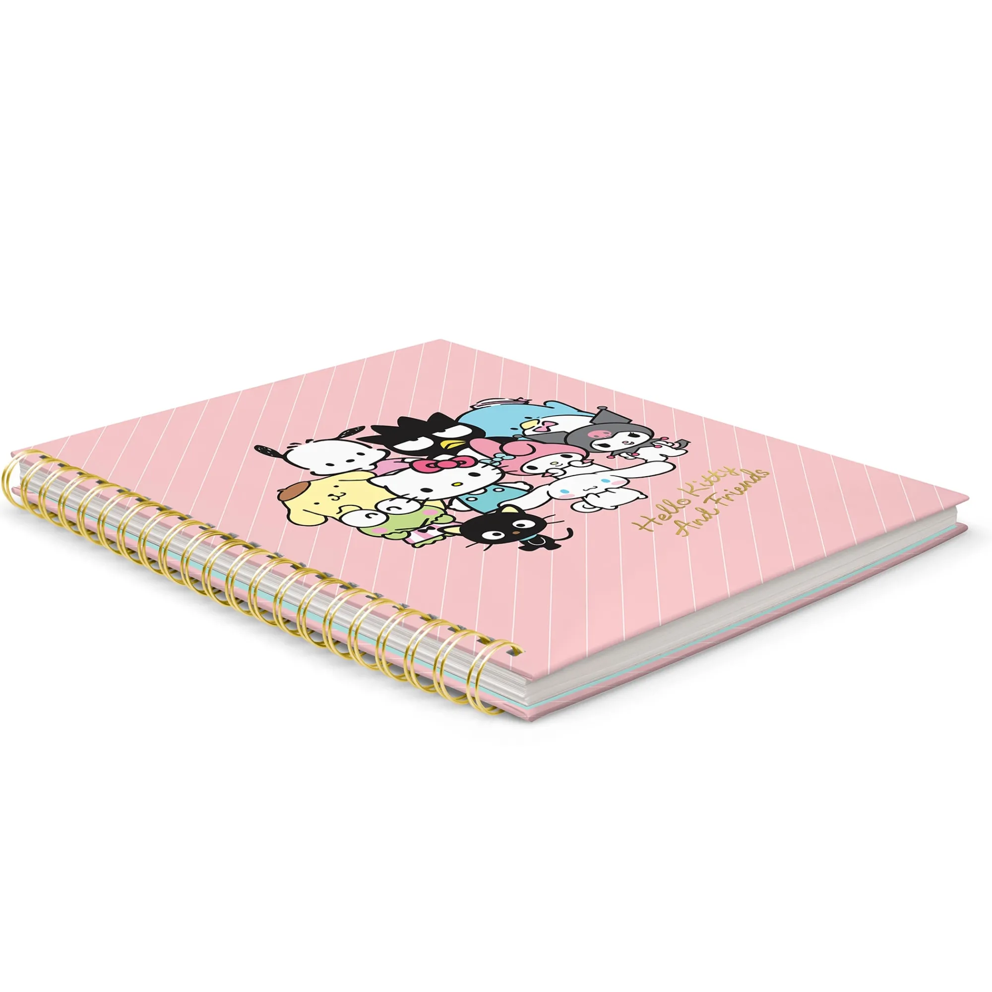 Studio Oh! Hello Kitty and Friends x Pink Pinstripe Extra-Large Spiral Notebook