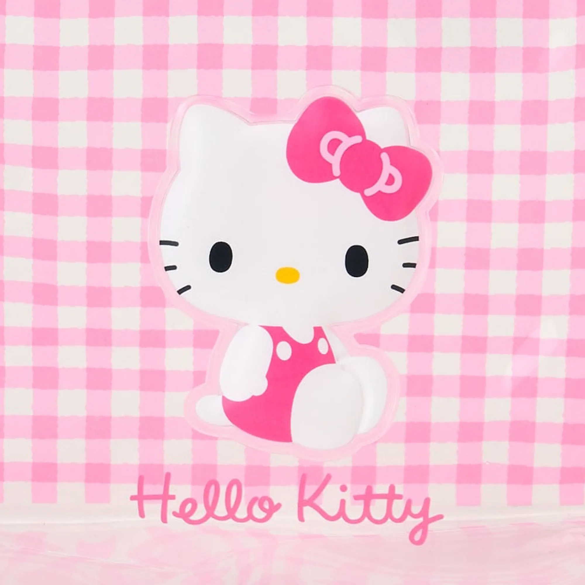 Japan Original Hello Kitty Clear Gingham Zipper Pouch