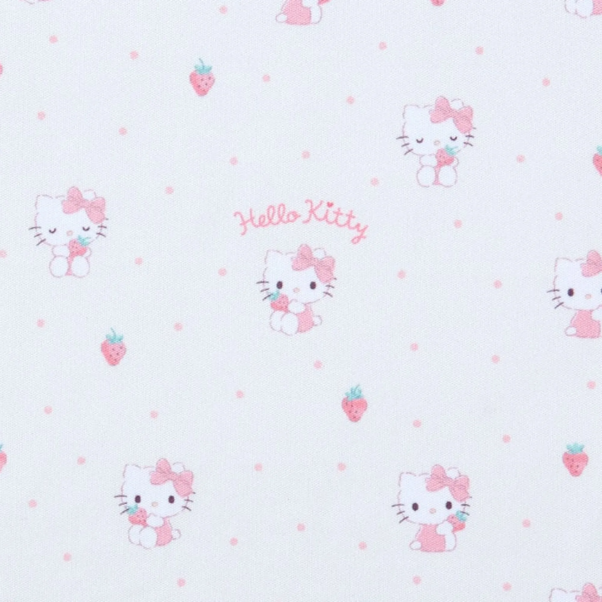 Japan Original Hello Kitty Everyday Eyewear Case