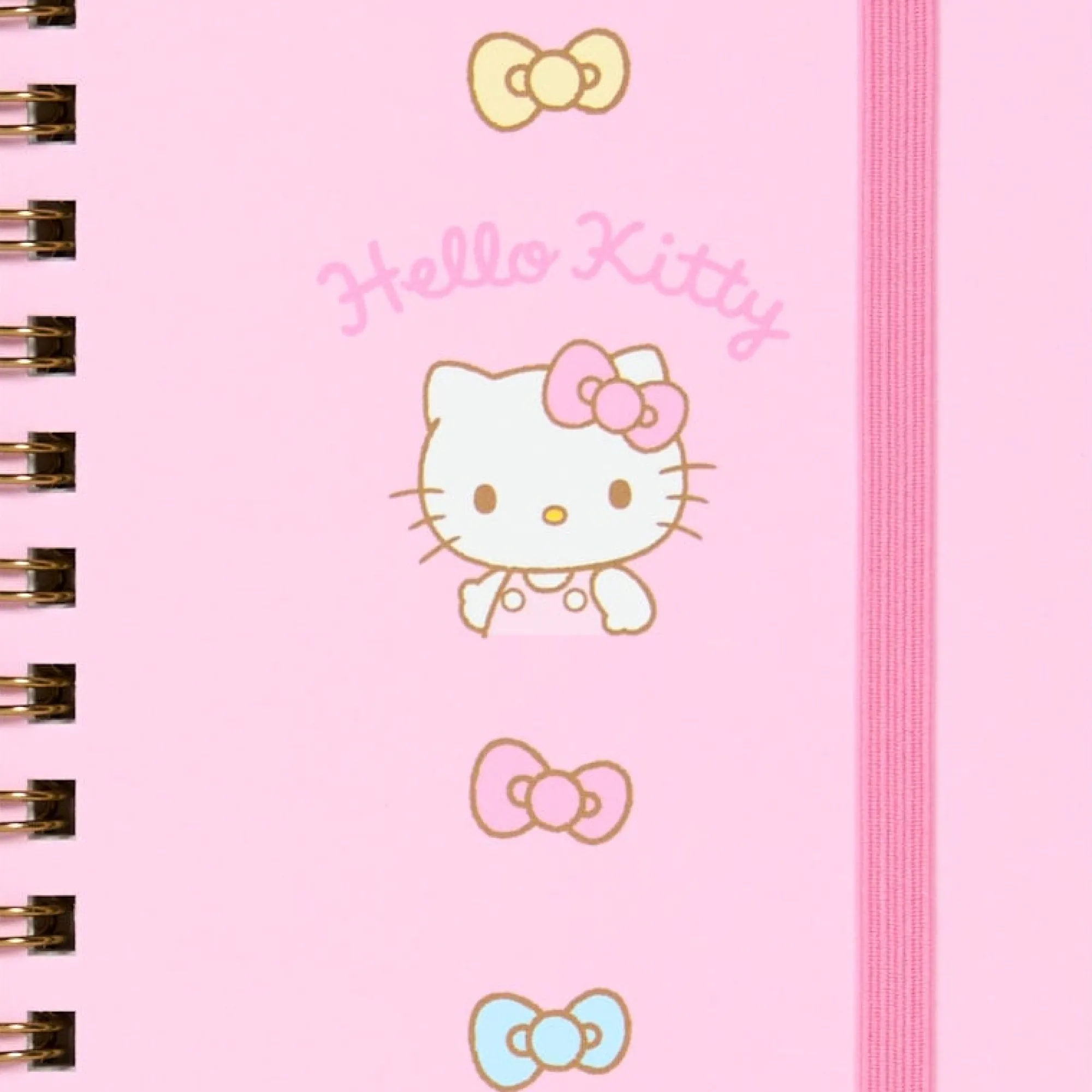 Japan Original Hello Kitty Slim Spiral Notebook (Elastic Closure)