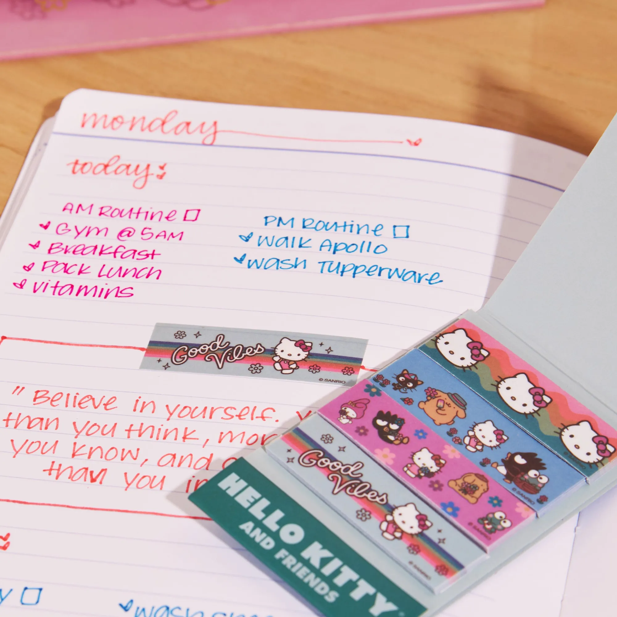 ERIN CONDREN Hello Kitty x Special Edition Gift Box