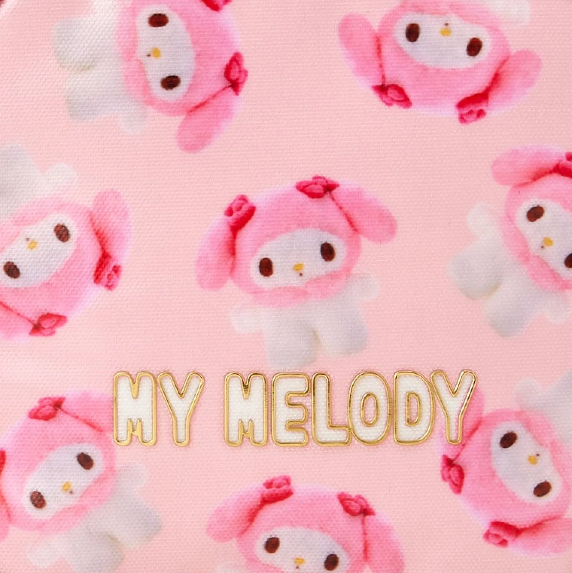 Japan Original My Melody Mini Zipper Pouch (Pitatto Friends Series)