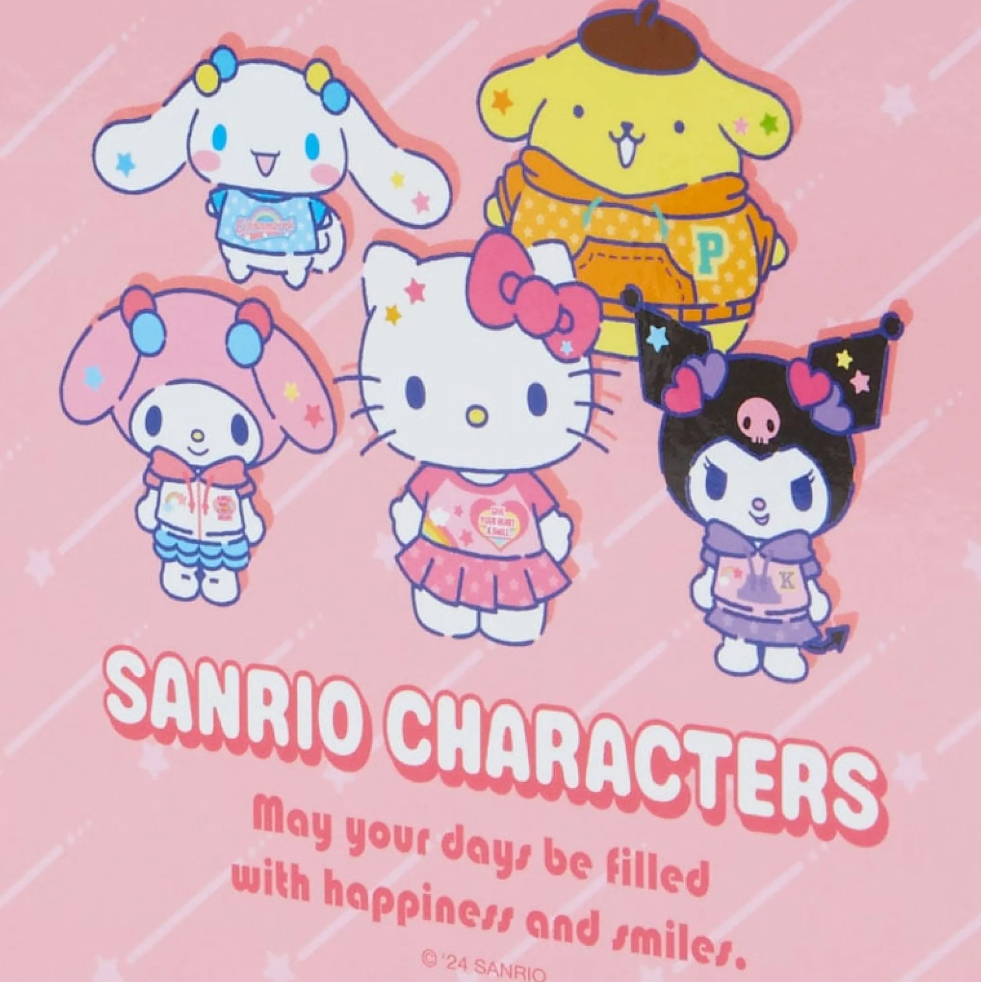 Japan Original Sanrio Characters Mini Profile Binder Notebook (My Profile Series)